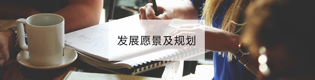 发展愿景及规划